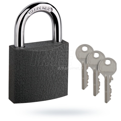 Kłódka pałąkowa żeliwna KSV-60 LOB blister (6) 